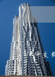 律师支费申请 律师支费申请