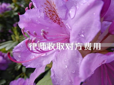 律师收取对方费用 律师收取对方费用