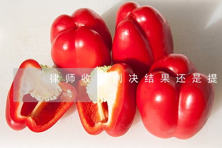 律师收费判决结果还是提出的总额 律师收费判决结果还是提出的总额