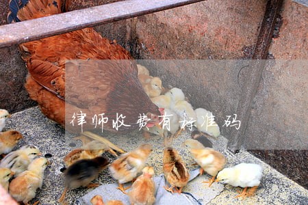 律师收费有标准码 律师收费有标准码