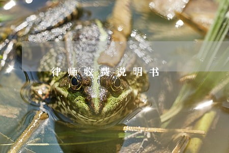 律师收费说明书 律师收费说明书