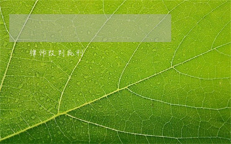 律师改判死刑 律师改判死刑