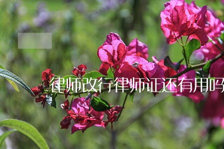 律师改行律师证还有用吗 律师改行律师证还有用吗