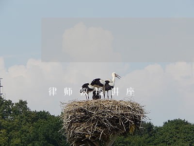 律师教授讲座 律师教授讲座