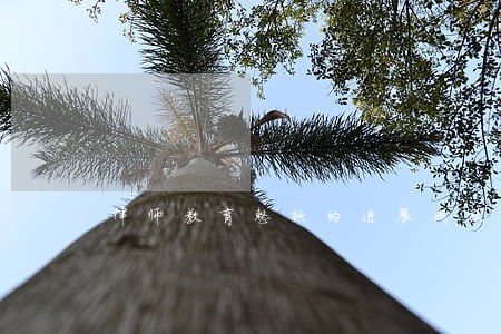 律师教育整顿的进展成效 律师教育整顿的进展成效