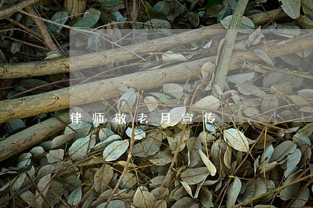 律师敬老月宣传