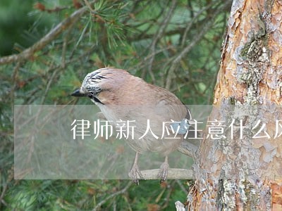 律师新人应注意什么风险 律师新人应注意什么风险