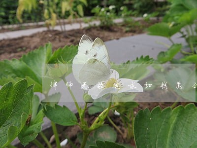 律师无故要求加钱怎么办