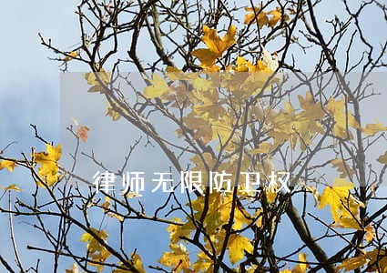 律师无限防卫权 律师无限防卫权