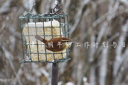 律师明年的工作计划与目标 律师明年的工作计划与目标