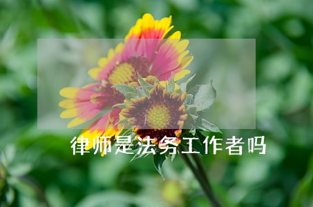 律师是法务工作者吗 律师是法务工作者吗