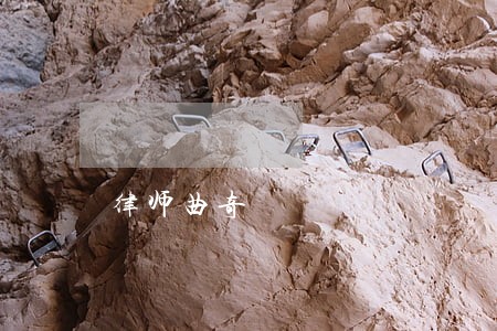 律师曲奇 律师曲奇