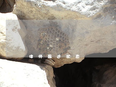律师最近状态 律师最近状态