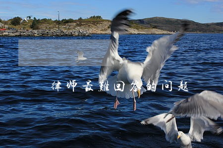 律师最难回答的问题 律师最难回答的问题