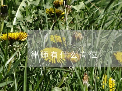 律师有什么岗位 律师有什么岗位