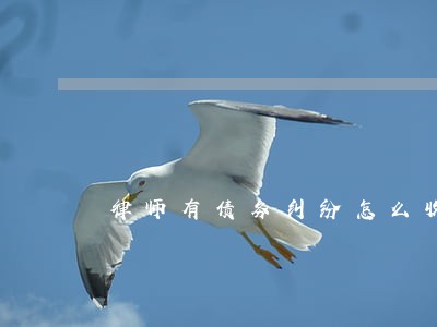 律师有债务纠纷怎么收费 律师有债务纠纷怎么收费