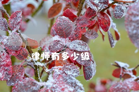 律师有多少级
