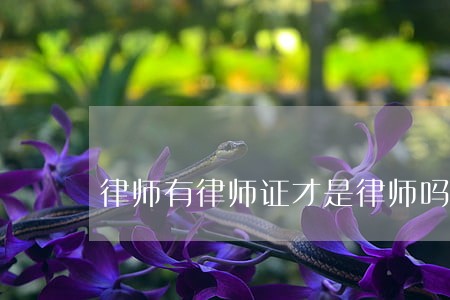 律师有律师证才是律师吗 律师有律师证才是律师吗