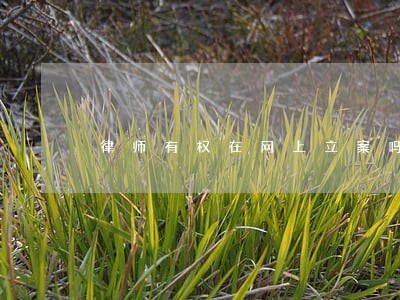 律师有权在网上立案吗 律师有权在网上立案吗