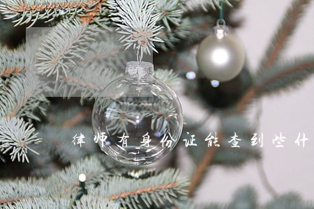 律师有身份证能查到些什么东西 律师有身份证能查到些什么东西