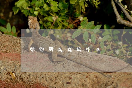 律师朋友我该咋办 律师朋友我该咋办