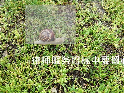 律师服务招标中要留心的几个问题 律师服务招标中要留心的几个问题