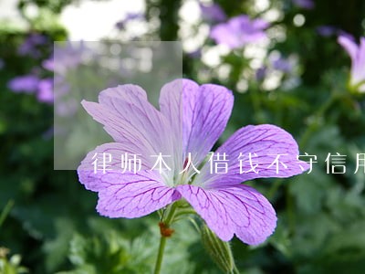 律师本人借钱不守信用 律师本人借钱不守信用