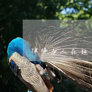 律师本人在超市从事小时工 律师本人在超市从事小时工