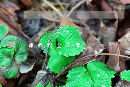 律师权宝工作