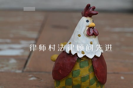 律师村法律顾问先进
