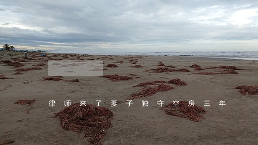 律师来了妻子独守空房三年 律师来了妻子独守空房三年