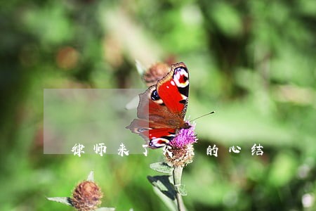 律师来了父亲的心结 律师来了父亲的心结