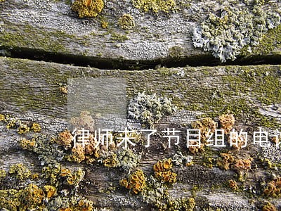 律师来了节目组的电话是多少 律师来了节目组的电话是多少