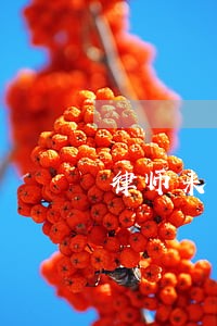 律师来了说要诉讼