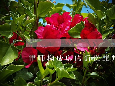 律师构成虚假诉讼罪判决书 律师构成虚假诉讼罪判决书