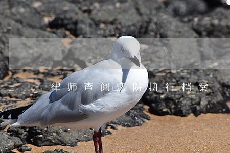 律师查阅法院执行档案