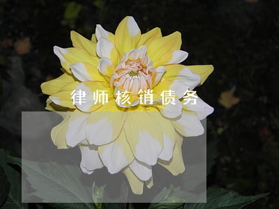律师核销债务