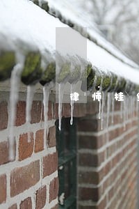 律师桂纶镁 律师桂纶镁