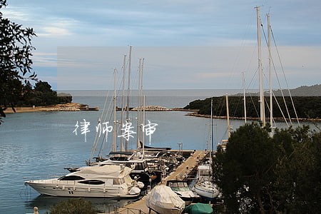 律师案审 律师案审