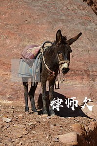 律师欠钱不还被起诉 律师欠钱不还被起诉