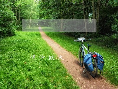 律师毁灭