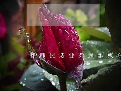 律师民法业务思维京东 律师民法业务思维京东