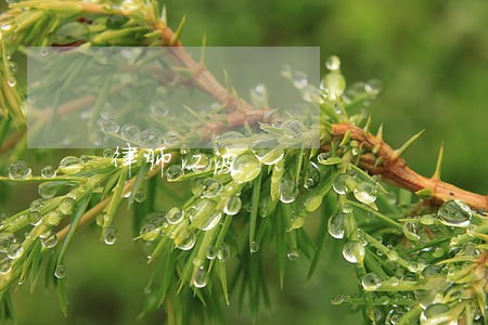 律师江波 律师江波