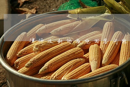 律师没到场拒绝回答问题 律师没到场拒绝回答问题