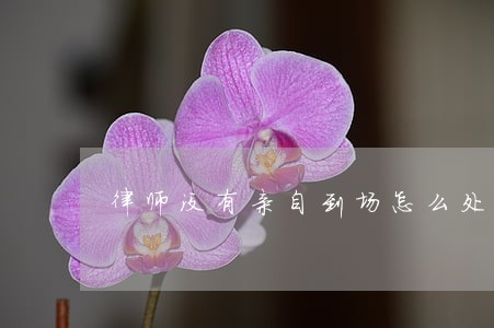 律师没有亲自到场怎么处理 律师没有亲自到场怎么处理