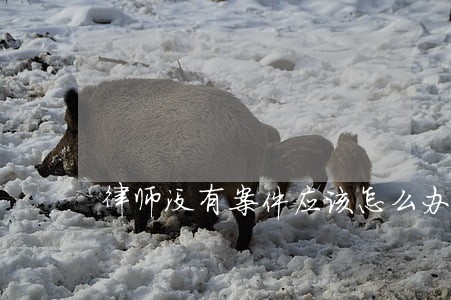 律师没有案件应该怎么办 律师没有案件应该怎么办