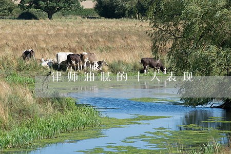 律师油腻的十大表现 律师油腻的十大表现