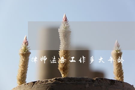 律师法务工作多大年龄 律师法务工作多大年龄
