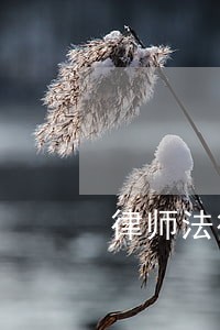 律师法律咨询哪家专业 律师法律咨询哪家专业
