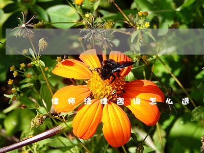律师法律咨询怎么选 律师法律咨询怎么选
